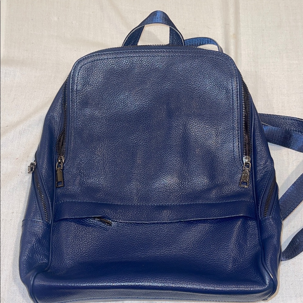 Damero Blue pebble Leather Backpack GUC SEE PICS FOR MEASUREMENTS